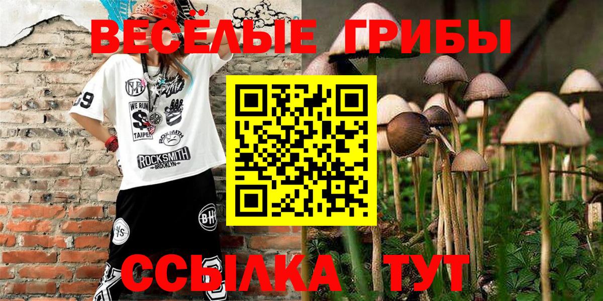 Екатеринбург  Псилоцибиновые грибы GOLDEN TEACHER  Вход с VPN 